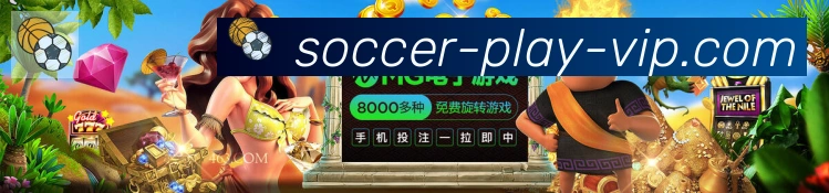 奖项证书